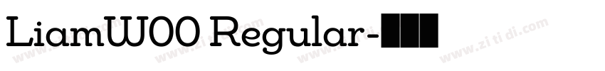 LiamW00 Regular字体转换